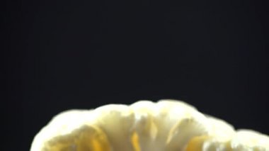 Siyah arka planda karnabahar beyazı izole edilmiş. 4k