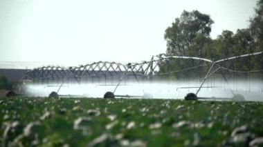 Büyük otomatik sulama sistemi, tarlada püsküren tekerlekler, sulama tarlaları, akan su.