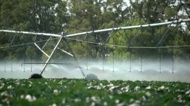 Büyük otomatik sulama sistemi, tarlada püsküren tekerlekler, sulama tarlaları, akan su.