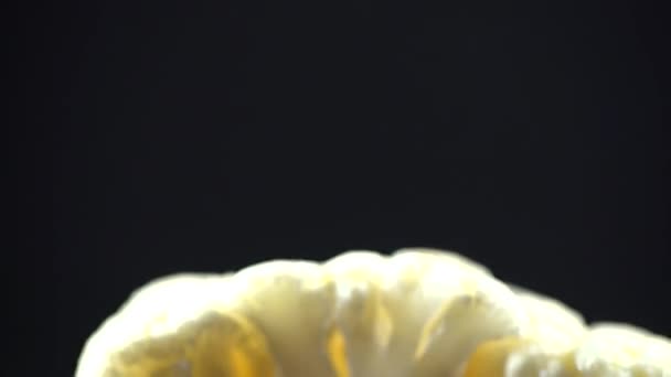 Цветная Капуста Белого Цвета Черном Фоне Изолированы — стоковое видео