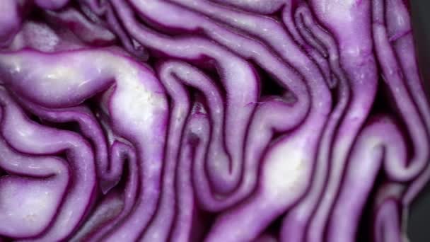 Red Blue Purple Cabbage Slice Pattern Macro Horizontal Panorama — Stock Video