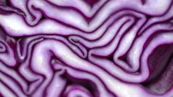 Red Blue Purple Cabbage Slice Pattern Macro Vertical Panorama — Stock Video