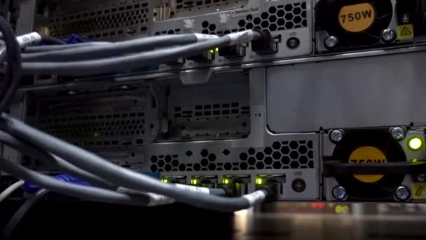 Acht knipperende server connectoren. Rg-45 Achterkant van de server. — Stockvideo