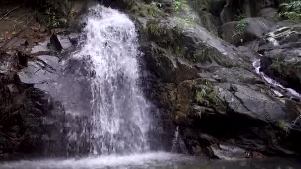 Belle cascade tropicale. Jungle sauvage .