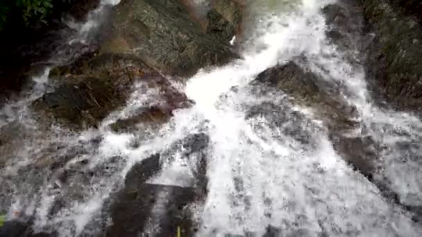Cascade jungle sauvage. Belle cascade tropicale. vue d'en haut 