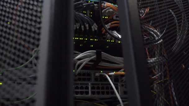 Lampor blinkar på servrar i moderna datacenter. Öppna dörrhyllan. — Stockvideo