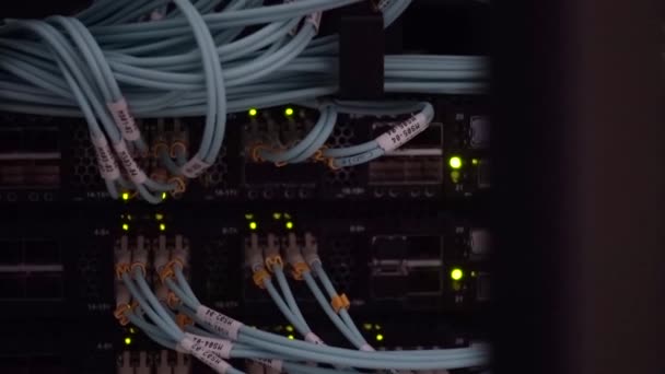 Kable światłowodowe podłączone do centrum danych. Ciemny stojak serwerowy. — Wideo stockowe