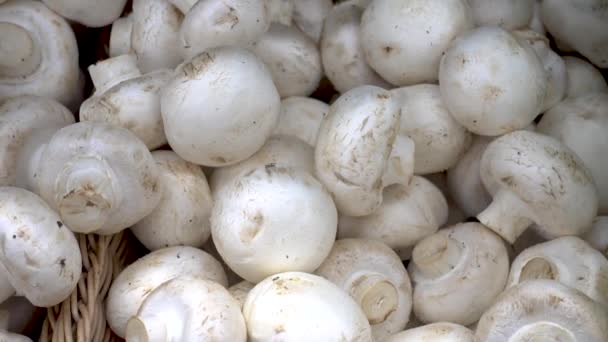 Pilze zum Verkauf auf einem Markt. Weiße Pilze. — Stockvideo