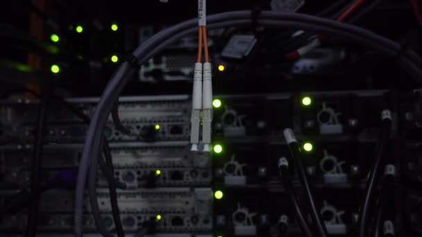 Fiber kanal fc switch på datacener server rack bakgrund. — Stockvideo