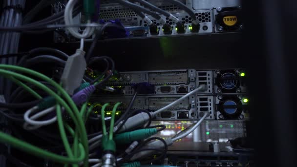 Connettori server e lampeggianti lampade LED verdi. Apparecchiature informatiche, reti o moderni concetti di data center. 4K — Video Stock