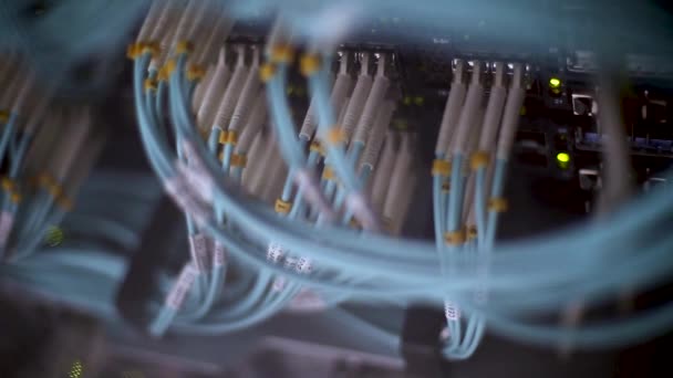 Achterzijde van het moderne werkende datacenter. Cloud Service en e-commerce. Uploaden en downloaden Server — Stockvideo