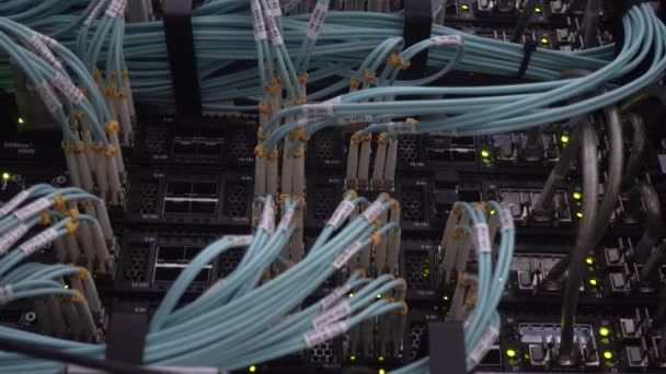 Conmutador de panel de conexión de cables de red óptica — Vídeo de stock