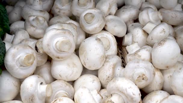 Mushrooms for sale at a market. White mushrooms. — Stock Video