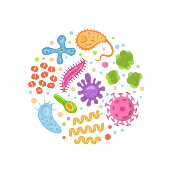 Baktériumok és vírusok a körben, mikroorganizmusok betegséget okozó tárgyak. Különböző típusok, baktériumok, vírusok, koronavírus, infusorium, streptococcus, gombák, protozoa. Vektorillusztráció. — Stock Vector