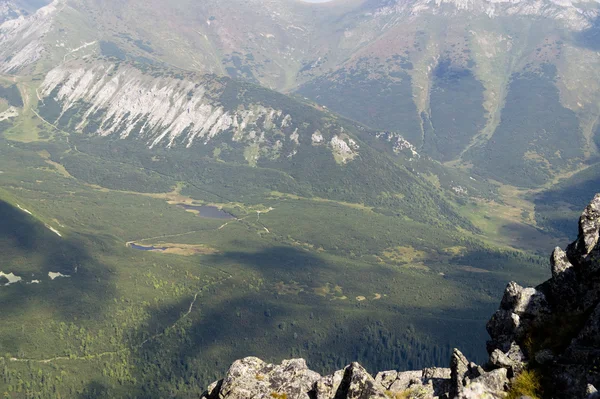 Valle verde in Monti Tatra — Foto Stock