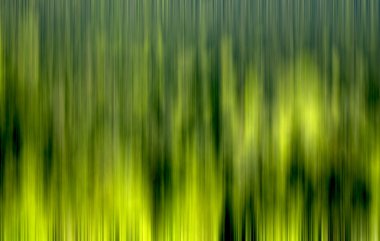 Soyut yeşil arkaplan