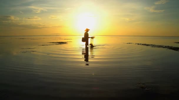 Pescador que trabalha com rede — Vídeo de Stock