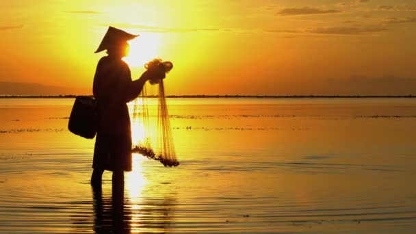 Fisherman throwing fishing net — Stock Video
