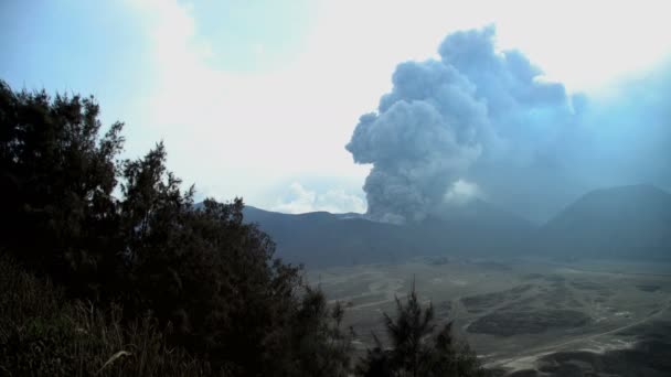 Mt Bromo erupting smoke — Stock Video