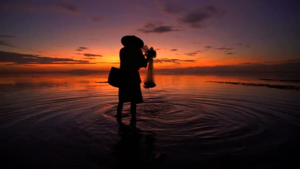 Fisherman casting with net — Stock Video