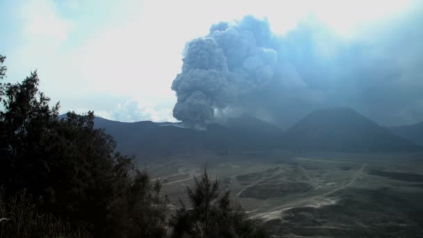 ブロモ山の火山噴火による煙します。 — ストック動画