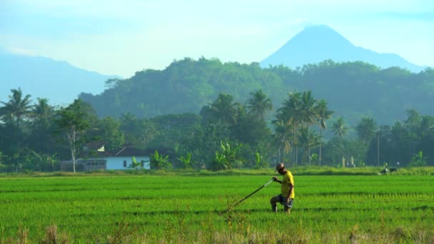 Agricultor regar la tierra — Vídeos de Stock