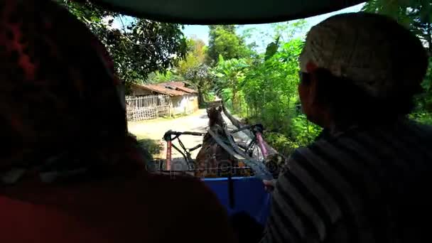 Traditioneel werkende paard getrokken taxi vervoer — Stockvideo