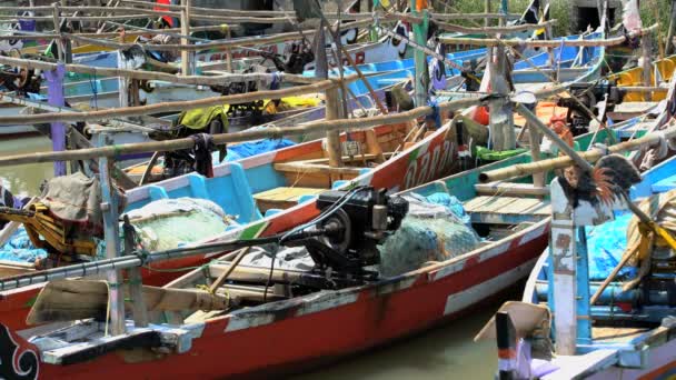 Индонезийские лодки причаливали в Проболинго — стоковое видео
