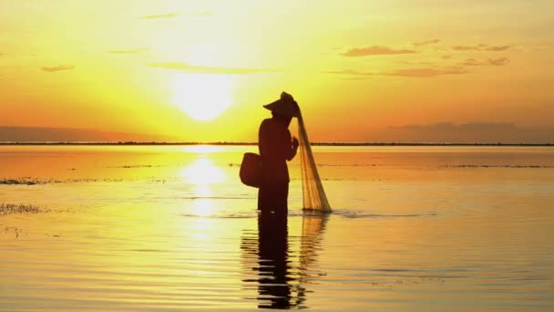 Pesca do pescador na praia — Vídeo de Stock