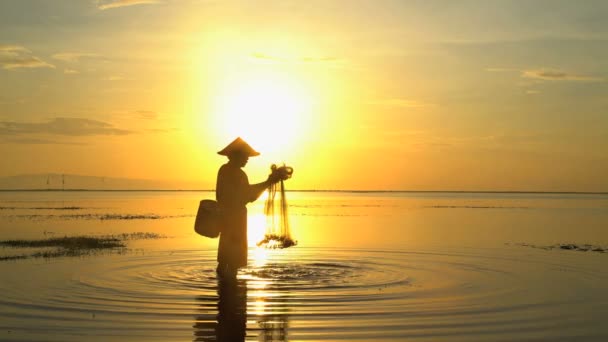 Pescador jogando rede no oceano — Vídeo de Stock