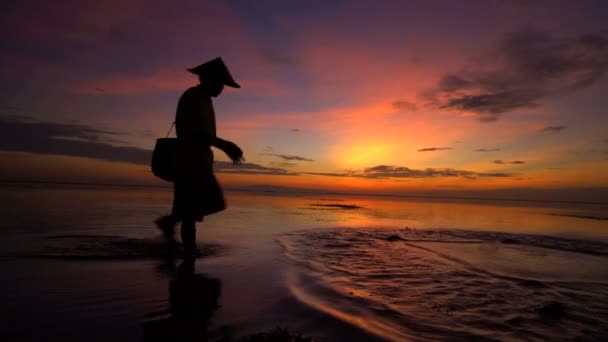 Rybář rybolov při východu slunce — Stock video