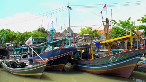 Indonesische vissersboten in dok — Stockvideo