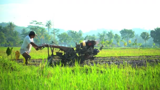 Sawah dibajak oleh pekerja manual — Stok Video