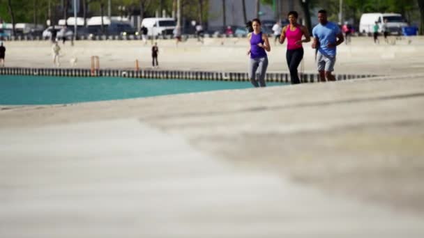 Feminino e masculino fazendo exercício cardio — Vídeo de Stock