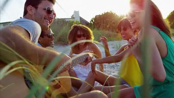 Machos e fêmeas desfrutando de festa na praia — Vídeo de Stock