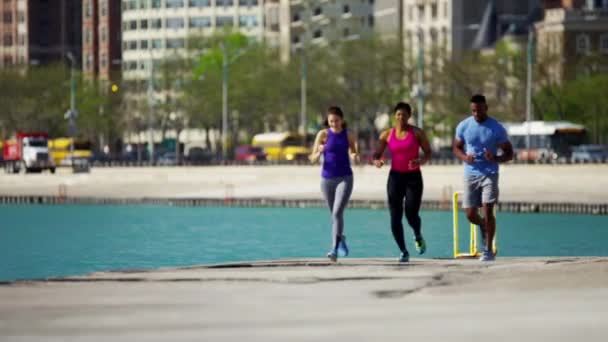 Feminino e masculino fazendo exercício cardio — Vídeo de Stock