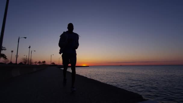 Männchen läuft bei Sonnenaufgang — Stockvideo