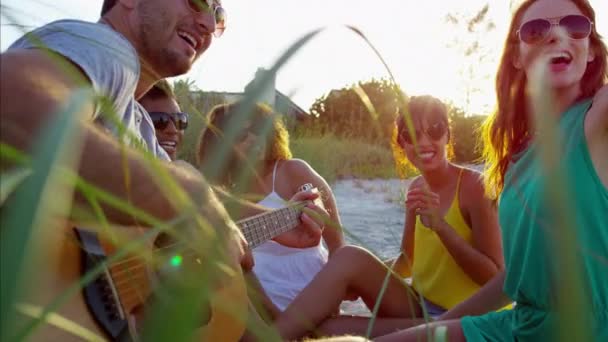 Freunde genießen Picknick am Strand — Stockvideo