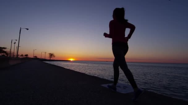 Vrouwen lopen voor weightloss — Stockvideo