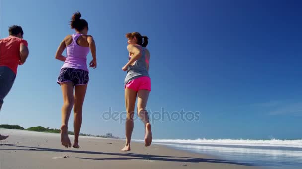 Vrienden houden passen lopen op het strand — Stockvideo
