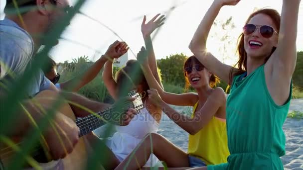 Mannetjes en vrouwtjes genieten van picknick — Stockvideo