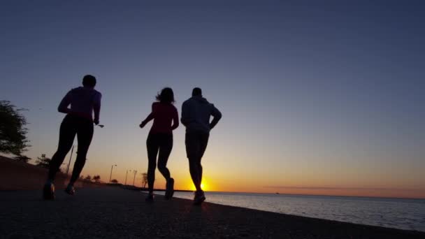Φίλοι που τρέχει στο ηλιοβασίλεμα — Αρχείο Βίντεο