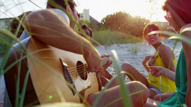 Personnes appréciant la fête avec guitare — Video