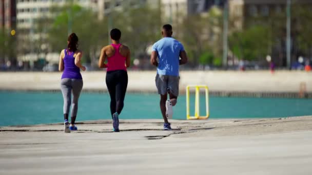 Les femmes et les hommes faisant de l'exercice de perte de poids — Video