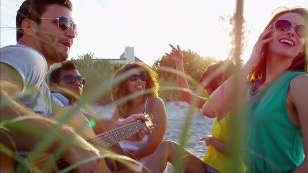 Vrienden genieten van picknick op het strand — Stockvideo