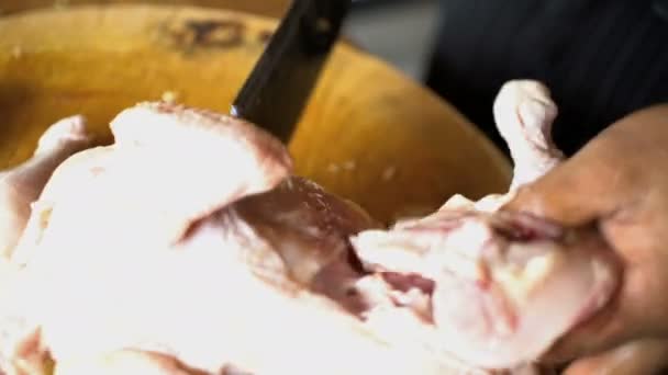 Повар режет сырую курицу — стоковое видео