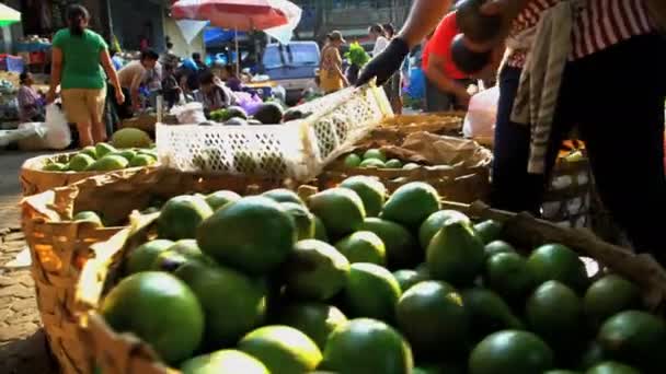 Pessoas que compram legumes — Vídeo de Stock