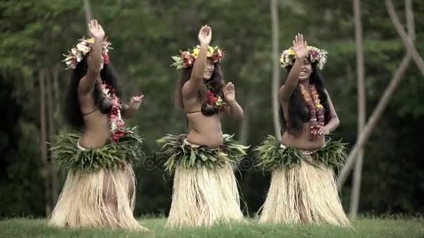Полинезийские девушки танцуют хулу — стоковое видео