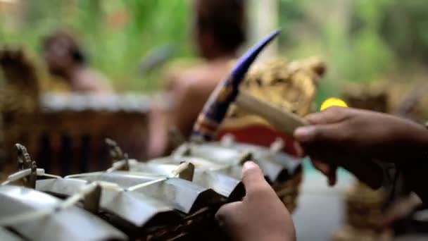 Gamelan grupo jugando en rendimiento — Vídeos de Stock