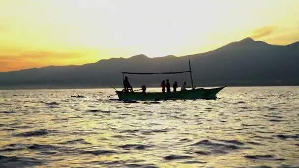 Lumba-lumba berenang di dekat perahu — Stok Video